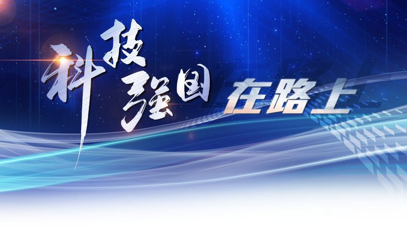 软件测试流程：揭秘高效测试的五大关键环节